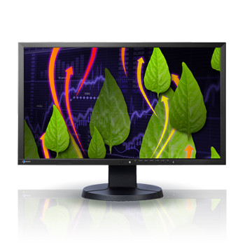 Écran PC LCD Eizo FlexScan (noir)