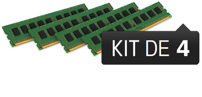 16 Go Module ECC (Kit 4x4 Go) - DDR3 1333 MHz