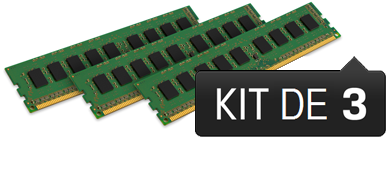 6 Go Module ECC (Kit 3x2 Go) - DDR3 1333 MHz