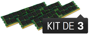 48 Go Module ECC-Reg (Kit 3x16 Go) - DDR3L 1333 MHz