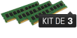 24 Go Module ECC (Kit 3x8 Go) - DDR3 1333 MHz