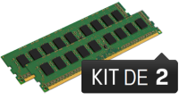 8 Go Module ECC (Kit 2x4 Go) - DDR2 667 MHz